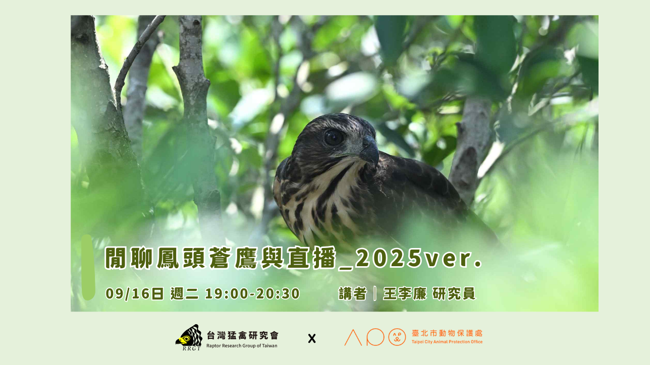 近期活動| 台灣猛禽研究會